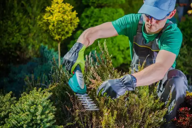 landscaping services Woodville